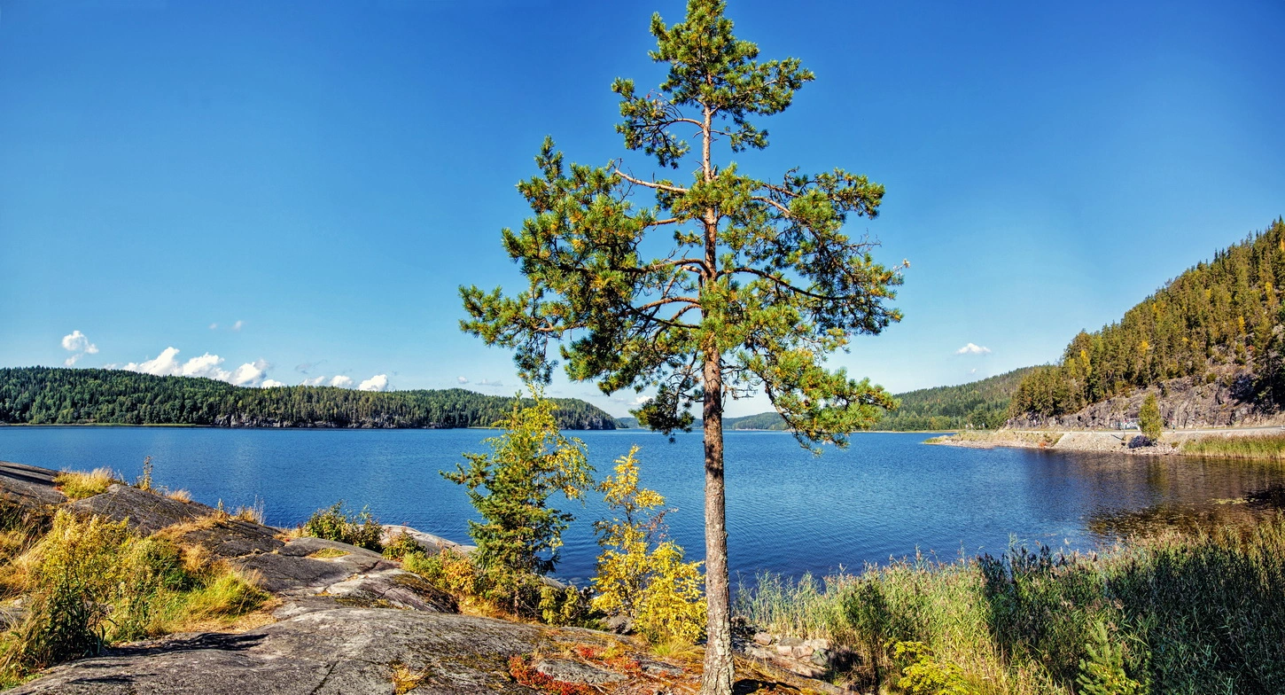 Красоты Ладоги